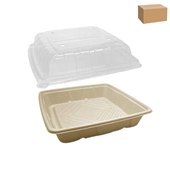 Greenmark Platter Deep 10 WLid 100CTN