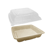 Greenmark Platter Deep 10 WLid 